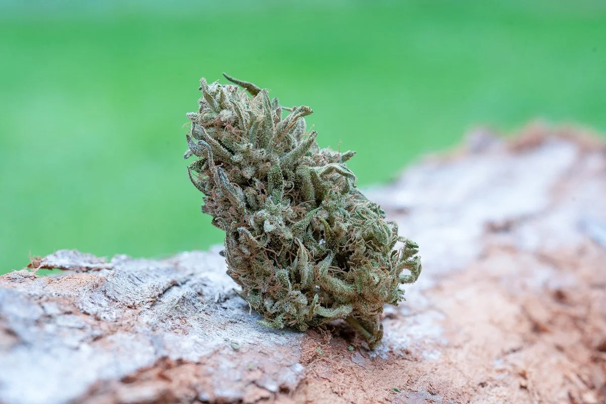 Products — Farm Cut